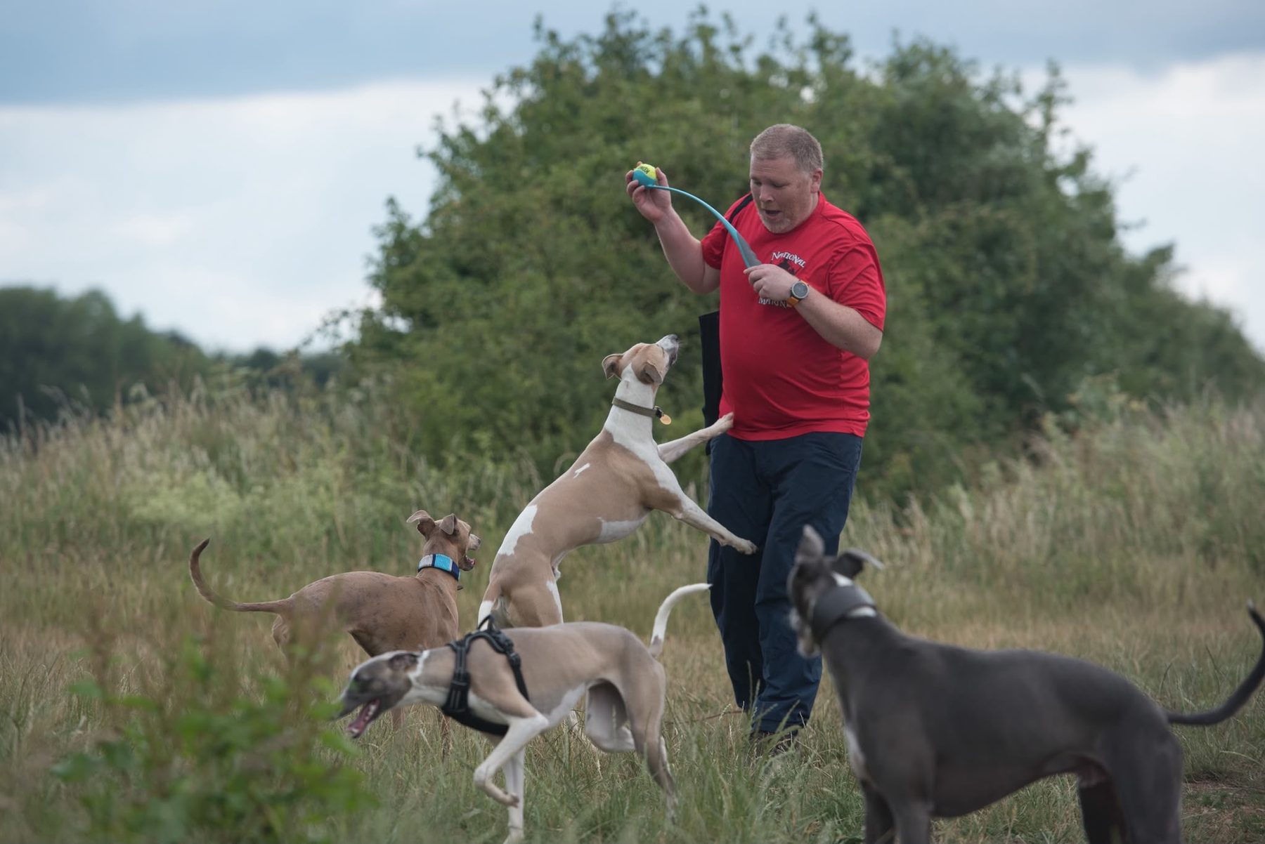 David holding a ball launcher while sighthounds jump and circle around him